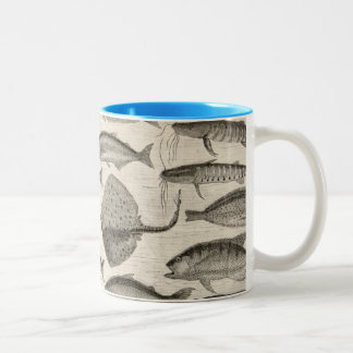 Vintage Scientific Fish Swimming Amazon River Fins Two-Tone Coffee Mug