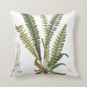 Vintage Scientific Plant Fern Illustration Cushion