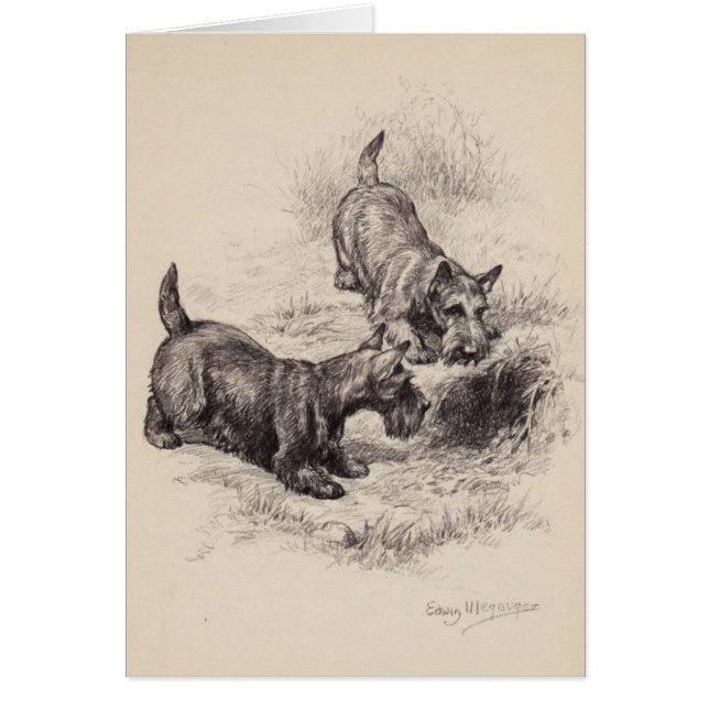 Vintage - Scottish Terriers & a Rabbit Hole, (Front)