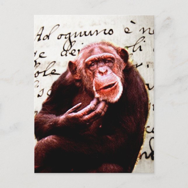 vintage scripts funny Chimpanzee Postcard (Front)