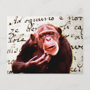 vintage scripts funny Chimpanzee Postcard