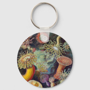 Vintage sea anemones scientific illustration key ring