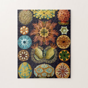 Vintage Sea Animals Jigsaw Puzzle