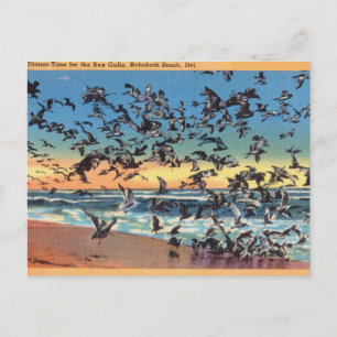 Vintage, Sea Gulls, Rehoboth Beach, Delaware Postcard
