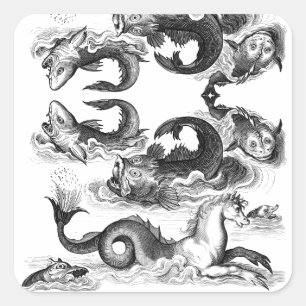 Vintage Sea Line Drawing Fish Horse Black White Square Sticker