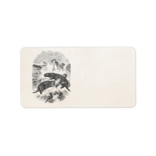Vintage Sea Otters 1800s Otter Illustration Label