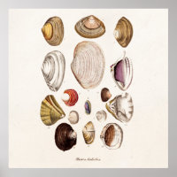 Vintage Sea Shells Personalised Retro Clam Shell