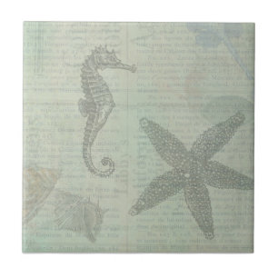 Vintage Sea Shells, Starfish, and SeaHorse Tile