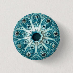 Vintage Sea Squirt Illustration 3 Cm Round Badge