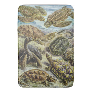 Vintage Sea Turtles and Land Tortoises Reptiles Bath Mat
