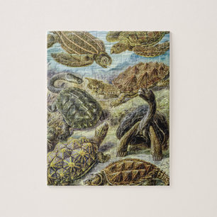 Vintage Sea Turtles and Tortoises by Ernst Haeckel Jigsaw Puzzle
