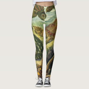 Vintage Sea Turtles and Tortoises by Ernst Haeckel Leggings