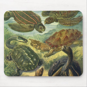 Vintage Sea Turtles and Tortoises by Ernst Haeckel Mouse Pad
