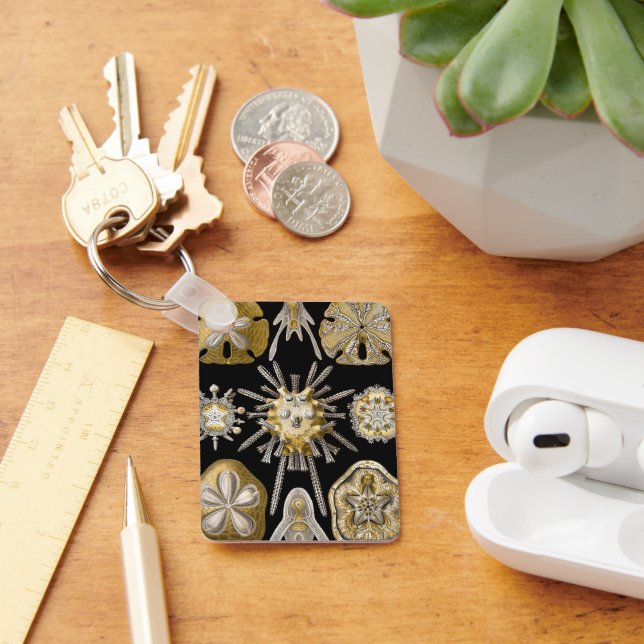 Vintage Sea Urchins Sand Dollars by Ernst Haeckel Key Ring (Desk)