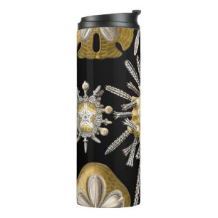 Vintage Sea Urchins Sand Dollars by Ernst Haeckel Thermal Tumbler