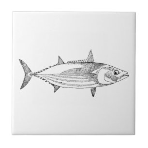 Vintage Seafood Fish Art - Skipjack Tuna Ceramic Tile