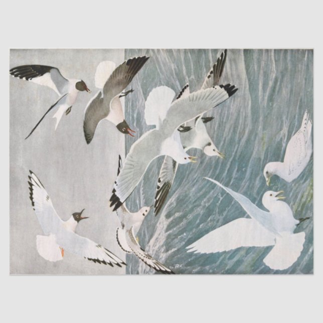 Vintage Seagull Ocean Bird Beach Decoupage  Tissue Paper (Front)