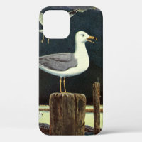 Vintage Seagull Perched Pier, Marine Birds Animals