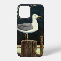Vintage Seagull Perched Pier, Marine Birds Animals