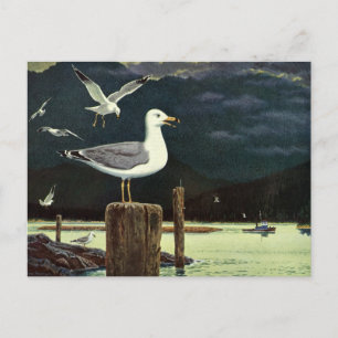 Vintage Seagull Perched Pier, Marine Birds Animals Postcard