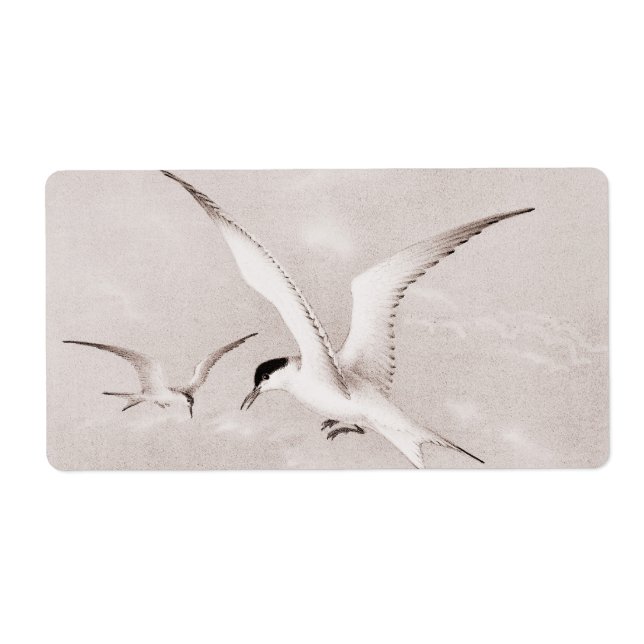 Vintage Seagulls Customised Retro Seagull Template (Front)