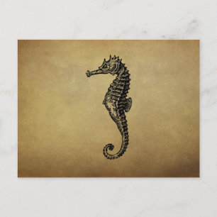 Vintage Seahorse Illustration Postcard