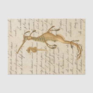 Vintage Seahorse Tissue Paper