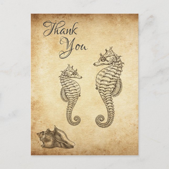 Vintage Seahorses and Conch Shell Beach Thank You Postcard (Front)