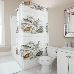 Vintage Seals Ocean Beach Shower Curtain