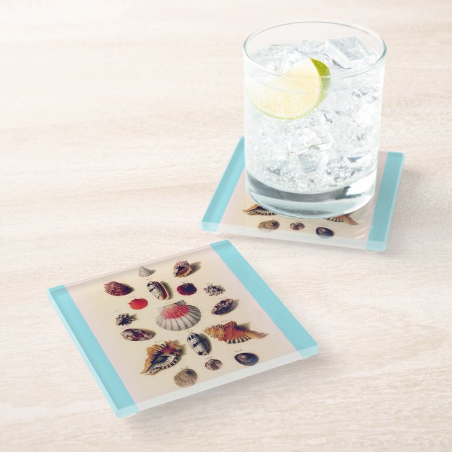 Vintage Seashell Collection Light Blue Glass Coaster (Angled)