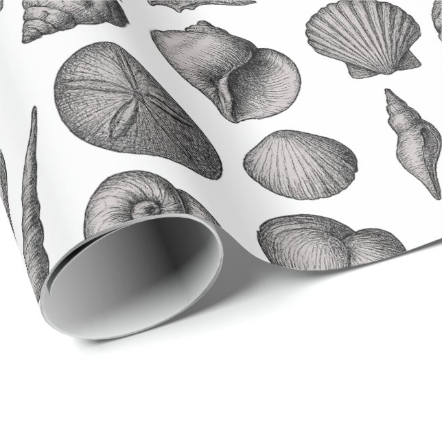 Vintage Seashell Ocean Nature Sketch Pattern Wrapping Paper (Roll Corner)