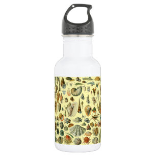 Vintage Seashell Print Adolphe Millot Coastal  532 Ml Water Bottle