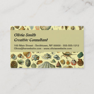 Vintage Seashell Print Adolphe Millot Coastal  Business Card