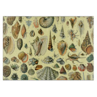 Vintage Seashell Print Adolphe Millot Coastal