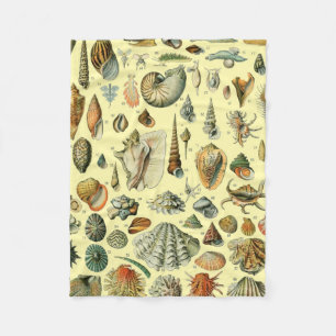 Vintage Seashell Print Adolphe Millot Coastal  Fleece Blanket