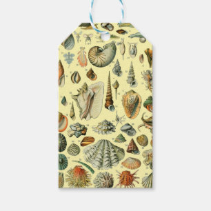 Vintage Seashell Print Adolphe Millot Coastal Gift Tags