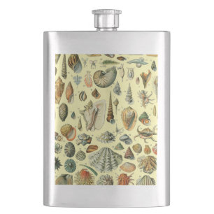 Vintage Seashell Print Adolphe Millot Coastal  Hip Flask