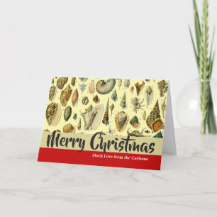 Vintage Seashell Print Adolphe Millot Coastal Holiday Card