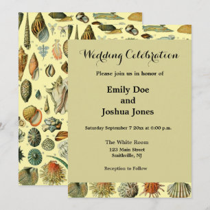 Vintage Seashell Print Adolphe Millot Coastal Invitation