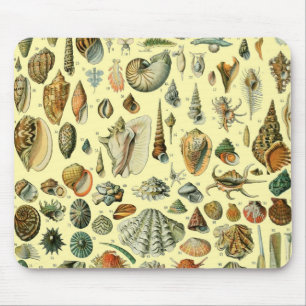 Vintage Seashell Print Adolphe Millot Coastal  Mouse Pad