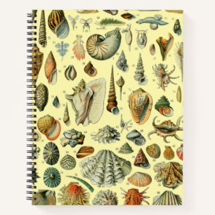 Vintage Seashell Print Adolphe Millot Coastal  Notebook