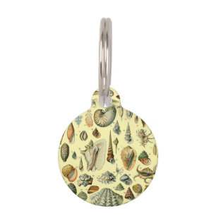 Vintage Seashell Print Adolphe Millot Coastal  Pet Tag