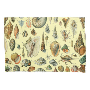 Vintage Seashell Print Adolphe Millot Coastal Pillowcase