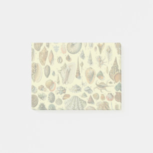 Vintage Seashell Print Adolphe Millot Coastal Post-it Notes