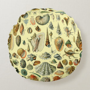 Vintage Seashell Print Adolphe Millot Coastal  Round Cushion