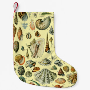 Vintage Seashell Print Adolphe Millot Coastal  Small Christmas Stocking