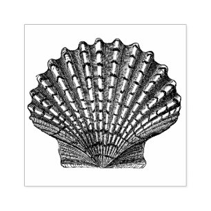 Vintage Seashell Rubber Stamp