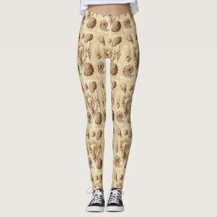 Vintage Seashells Antique Leggings