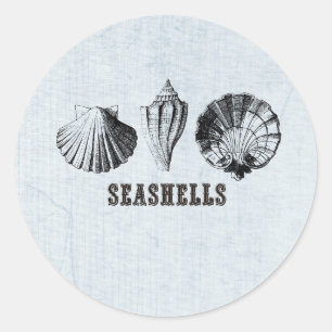 Vintage Seashells Classic Round Sticker