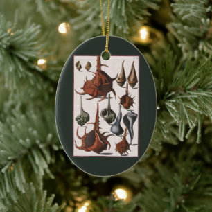 Vintage Seashells, Marine Life, Ocean Sea Shells Ceramic Ornament